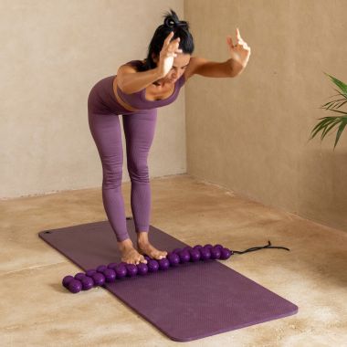 Spine Aligner pasuje