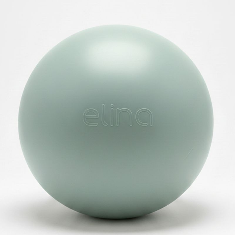Fitball Pelota Pilates 55cm