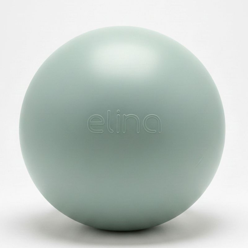FITBALL BALLE DE PILATES 65 cm